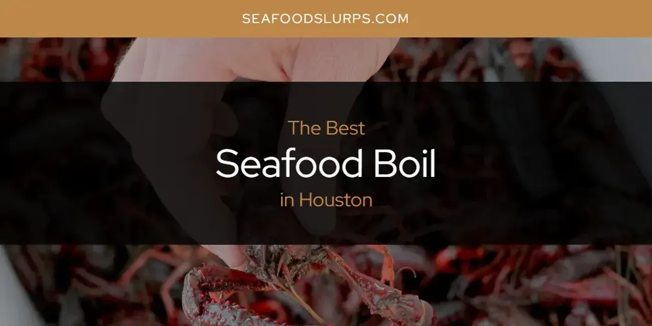 The Absolute Best Seafood Boil in Houston  [Updated 2024]
