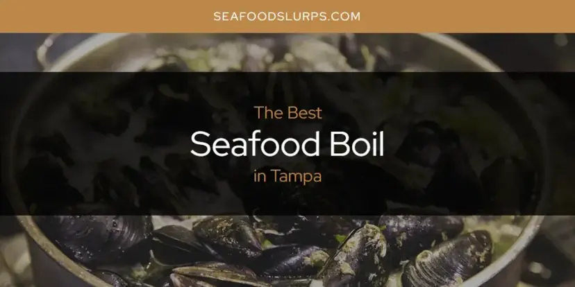 Tampa's Best Seafood Boil [Updated 2024]
