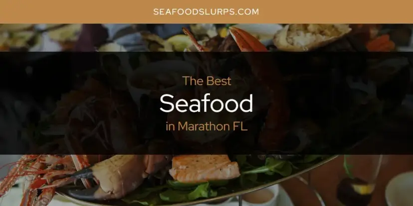 Marathon FL's Best Seafood [Updated 2024]