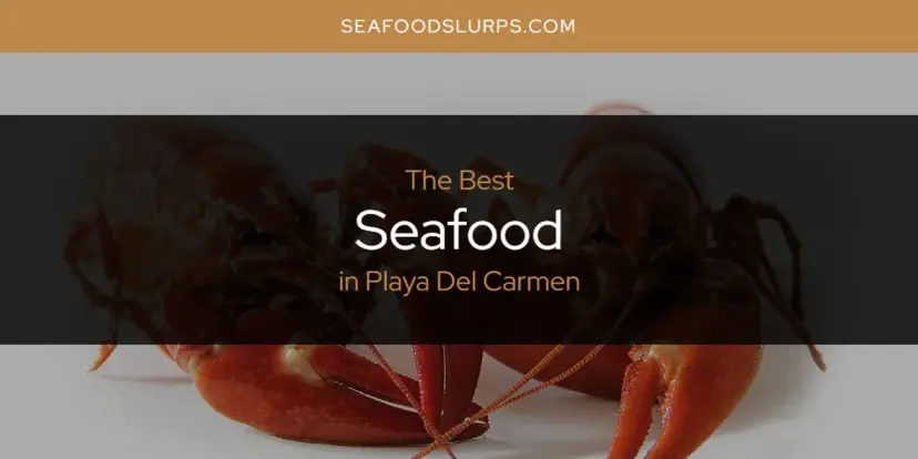 Playa Del Carmen's Best Seafood [Updated 2024]