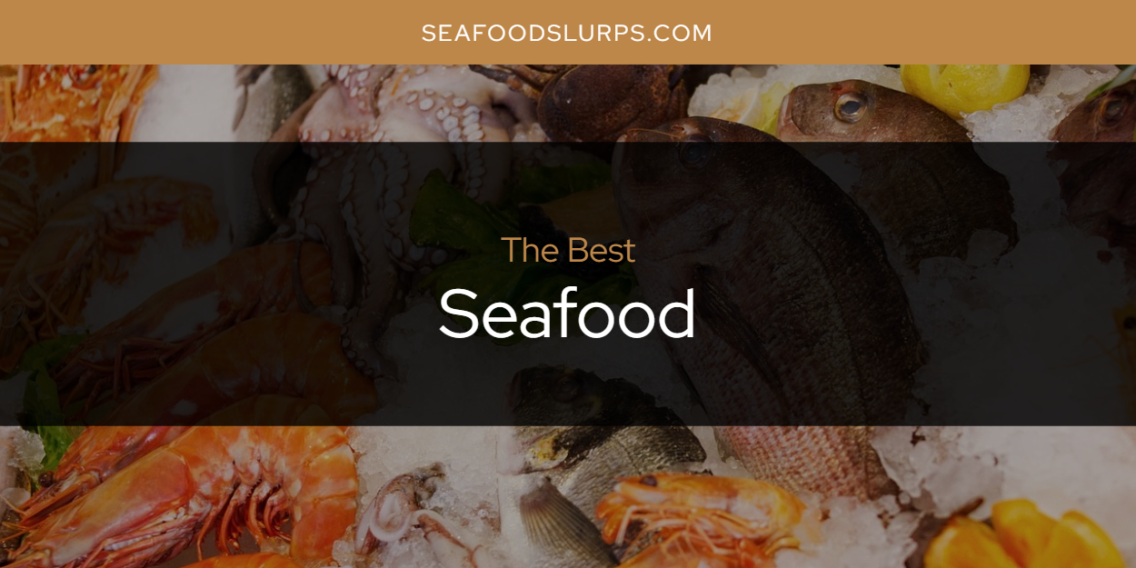 SeafoodSlurps | Savoring the Ocean, One Bite at a Time